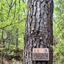 오륜대로 이미지