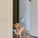 까까멍 이미지