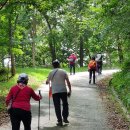 대전둘레산길(10구간) 이미지