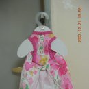 노랑퍼피 이미지