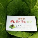 빨간장화