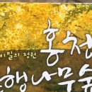 선우회관