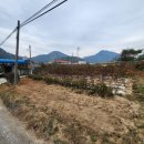 봉림공인중개사사무소 이미지