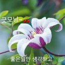 성당초등학교 이미지