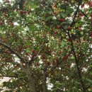 보리수미용실 이미지