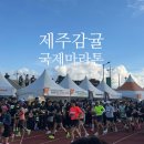주차10 | 2025 제주감귤 국제마라톤대회 일정 코스 주차 10km 후기