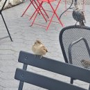 (주)워너짐 대연동지점 | 5박 6일 뉴욕 여행(중 1박 2일)