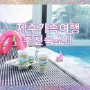 오르비에터 | 제주가족여행 에이비앤비 추천 !! 수영장 글램핑 모두 있는 곳