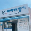 군산바다 | [후기] 군산 물회맛집 바다애향기 조촌동 맛집
