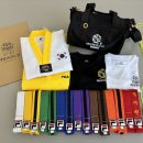 태빛태권도장 이미지