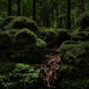 무성당구장 이미지