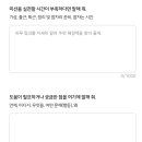 도그플러스 네이버블로그