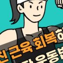 디짐 이미지