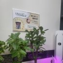 살빼 몸빼 빼빼 이미지