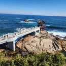 동해일출 | 파도와 거문고 소리 사이, 영금정 여행기- 동해 일출 명소 솔직 후기