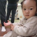 둥근해어린이집 | 써지컬 미아방지팔찌 18개월 아기 주문 및 착용 내돈내산 후기