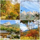 태양아래월출산 | 걷기 일상 - 우이령길(북한산둘레길 21구간)