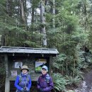 Mailbox Peak (Old) Trail 2026-2-11 이미지