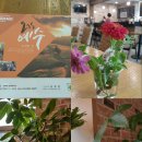 세종송담교회 이미지