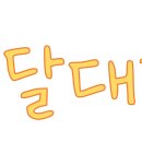 수도권 배달부업 비교 (플랫폼, 꿀팁, 후기)