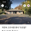 도린곁 이미지