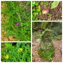 적교추어탕 이미지