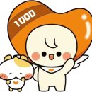 장선기획 | 해피기버 서포터즈 해피니스 2기 후기(feat, 우수활동팀)