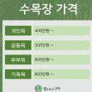 수목장의 나무 선택과 결정 / 수목장 안치 및 안장 방법 / 수목장의 방법과 절차 에 대해서 이미지