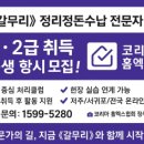제주하와이 덕수궁 이미지