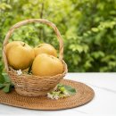 금평농장 이미지