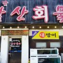 앞산물회 이미지