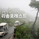 에코리조트 티스토리