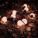 알라이트주식회사 이미지