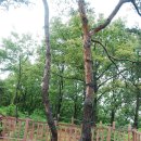 이매역 2번출구 이미지