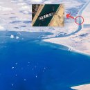 배들가축 이미지