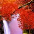 일기일회 이미지