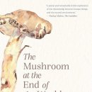 세계 끝의 버섯 이미지