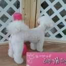부흥미용실 이미지