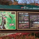 대둔산_마천대 이미지