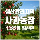 사과나무부동산공인중개사사무소 이미지