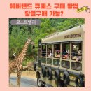 매직PC랜드 | 2026 에버랜드 큐패스 구매(구입) 방법 및 가격, 당일구매 가능?