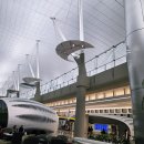 질문과대답 | 스위스 여행 / 환승지역 아부다비 공항 수속 & 취리히 공항 입국 수속, 질문과 답 & 유럽 esim 후기