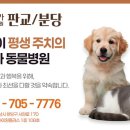 판교종합 동물병원 이미지