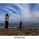 해운대 Daum카페
