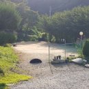 청풍마을펜션 이미지