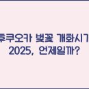 개화 이미지