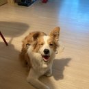 기쁜약국 이미지