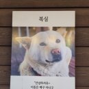 복실이 한정식 이미지