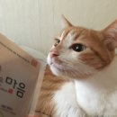 오대가한의원 이미지