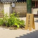 인삼다방 - 117659 | 인삼다방